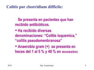 Colitis por clostridium difficile: Se presenta en pacientes que han recibido antibióticos. Ha recibido diversas denominaciones: “Colitis isquemica,” “colitis pseudomenbranosa” Anaerobio gram (+)  se presenta en heces del 1 al 5 % y 40 % en  neonatos 