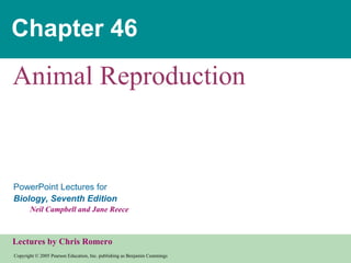 Chapter 46 Animal Reproduction 