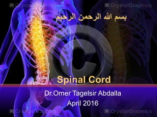 Spinal Cord
Dr.Omer Tagelsir Abdalla
April 2016
‫الرحيم‬ ‫الرحمن‬ ‫هللا‬ ‫بسم‬
 
