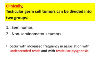 Clinically,
Testicular germ cell tumors can be divided into
two groups:
1. Seminomas
2. Non-seminomatous tumors
• occur with increased frequency in association with
undescended testis and with testicular dysgenesis.
 