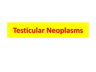Testicular Neoplasms
 