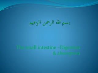 The small intestine –Digestion
& absorption
 