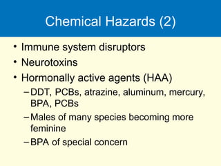 Chemical Hazards (2)
• Immune system disruptors
• Neurotoxins
• Hormonally active agents (HAA)
–DDT, PCBs, atrazine, aluminum, mercury,
BPA, PCBs
–Males of many species becoming more
feminine
–BPA of special concern
 