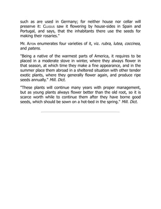 such as are used in Germany; for neither house nor cellar will
preserve it: Clusius saw it flowering by house-sides in Spain and
Portugal, and says, that the inhabitants there use the seeds for
making their rosaries."
Mr. Aiton enumerates four varieties of it, viz. rubra, lutea, coccinea,
and patens.
"Being a native of the warmest parts of America, it requires to be
placed in a moderate stove in winter, where they always flower in
that season, at which time they make a fine appearance, and in the
summer place them abroad in a sheltered situation with other tender
exotic plants, where they generally flower again, and produce ripe
seeds annually." Mill. Dict.
"These plants will continue many years with proper management,
but as young plants always flower better than the old root, so it is
scarce worth while to continue them after they have borne good
seeds, which should be sown on a hot-bed in the spring." Mill. Dict.
 