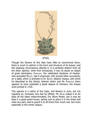 No
455.
Though the flowers of this Aloe have little to recommend them,
there is much to admire in the form and structure of its leaves; and
this pleasing circumstance attends it, it is perfectly distinct from all
the other species: when first introduced, it was no doubt an object
of great admiration; Fairchild, the celebrated Gardener of Hoxton,
who preceded Miller, had it engraved, with several other succulents,
on a plate which is prefixed to Dr. Blair's Botanic Essays, and which
he described to the Doctor, betwixt whom and Mr. Fairchild there
appears to have subsisted a great degree of intimacy: the Essays
were printed in 1720.
This species is a native of the Cape, and flowers in June, but not
regularly so, increases very fast by offsets: Mr. Aiton makes it as he
does all the Aloes indiscriminately, Dry Stove Plants, but it may be
kept in a good green-house, taking care to place it in the driest and
most airy part, and to guard it at all times from much wet, but more
especially in the winter season.
 
