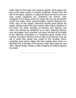 tooth, beset on both sides with numerous glands, which project and
give to the upper surface a manifest roughness; Flowers from the
alæ of the leaves, opposite, on peduncles about one-third of an inch
long, usually supporting one, sometimes two flowers; Calyx
composed of five leaves which are tinged with red and permanent;
Corolla five petals, white, ovato-lanceolate; Stamina filaments five,
white, hairy, at first upright, afterwards bending back betwixt the
petals; Antheræ before they open purple; Pollen yellow; Nectaries of
two kinds, five white, springing up between each filament, and
which may perhaps be considered as so many imperfect stamina,
they are broader, much smoother, and about one-third of the length
of the filaments, terminating in a transparent gland instead of an
anthera; five green, forming a kind of calyx to the germen, from the
top of which they spring, they consist of five roundish, fleshy,
spreading, green leaves, edged with hairs; besides these, there is a
glandular ring at the base of the germen; Style white, tapering, very
hairy; Stigma simple; Flowers usually dropping off without ripening
the seeds.
 