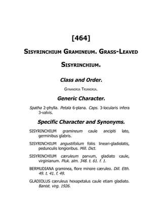 [464]
Sisyrinchium Gramineum. Grass-Leaved
Sisyrinchium.
Class and Order.
Gynandria Triandria.
Generic Character.
Spatha 2-phylla. Petala 6-plana. Caps. 3-locularis infera
3-valvis.
Specific Character and Synonyms.
SISYRINCHIUM gramineum caule ancipiti lato,
germinibus glabris.
SISYRINCHIUM angustifolium foliis lineari-gladiolatis,
pedunculis longioribus. Mill. Dict.
SISYRINCHIUM cæruleum parvum, gladiato caule,
virginianum. Pluk. alm. 348. t. 61. f. 1.
BERMUDIANA graminea, flore minore cæruleo. Dill. Elth.
49. t. 41. f. 49.
GLADIOLUS cæruleus hexapetalus caule etiam gladiato.
Banist. virg. 1926.
 