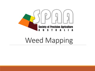 Weed Mapping
 