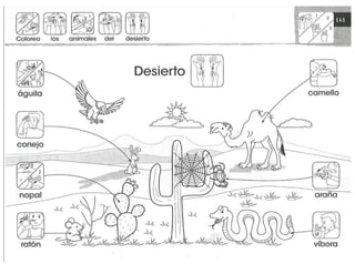 mi-cuaderno-de-lectoescritura-y-senas