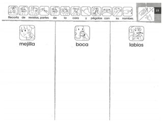 mi-cuaderno-de-lectoescritura-y-senas