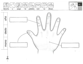 mi-cuaderno-de-lectoescritura-y-senas