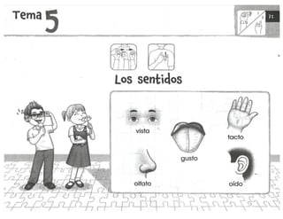 mi-cuaderno-de-lectoescritura-y-senas