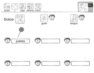 mi-cuaderno-de-lectoescritura-y-senas