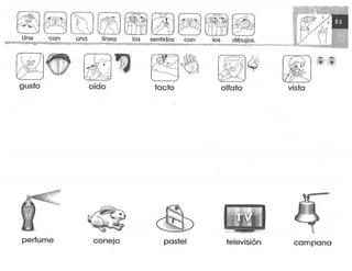 mi-cuaderno-de-lectoescritura-y-senas