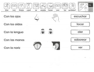 mi-cuaderno-de-lectoescritura-y-senas