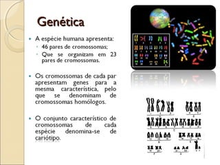 GenéticaGenética
 