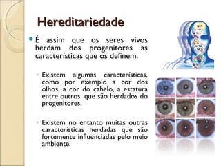 HereditariedadeHereditariedade
É assim que os seres vivos
herdam dos progenitores as
características que os definem.
◦ Existem algumas características,
como por exemplo a cor dos
olhos, a cor do cabelo, a estatura
entre outros, que são herdados do
progenitores.
◦ Existem no entanto muitas outras
características herdadas que são
fortemente influenciadas pelo meio
ambiente.
 