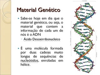 Material GenéticoMaterial Genético
 