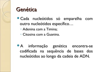 GenéticaGenética
Cada nucleótidos só emparelha com
outro nucleótidos específico…
◦ Adenina com a Timina;
◦ Citosina com a Guanina.
A informação genética encontra-se
codificada na sequência de bases dos
nucleótidos ao longo da cadeia de ADN.
 