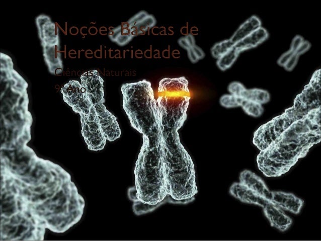 HereditariedadeHereditariedade
 