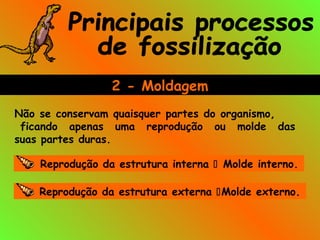 Não se conservam quaisquer partes do organismo,
ficando apenas uma reprodução ou molde das
suas partes duras.
Reprodução da estrutura interna  Molde interno.
Reprodução da estrutura externa Molde externo.
2 - Moldagem
 