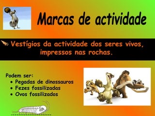 Vestígios da actividade dos seres vivos,
impressos nas rochas.
Podem ser:
• Pegadas de dinossauros
• Fezes fossilizadas
• Ovos fossilizados
 