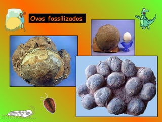 Ovos fossilizados
 
