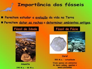  Permitem estudar a evolução da vida na Terra
 Permitem datar as rochas e determinar ambientes antigos.
Fóssil de Idade Fóssil de Fácie
Coral
500 M.a. – actualidade
Vivem apenas em ambientes
de águas calmas, quentes e
pouco profundas
Amonite
248 M.a. – 66 M.a.
 