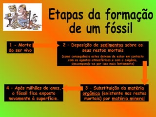 1 - Morte
do ser vivo
2 – Deposição de sedimentos sobre os
seus restos mortais
(como consequência estes deixam de estar em contacto
com os agentes atmosféricos e com o oxigénio,
descompondo-se por isso mais lentamente)
4 – Após milhões de anos,
o fóssil fica exposto
novamente à superfície.
3 – Substituição da matéria
orgânica (existente nos restos
mortais) por matéria mineral
 