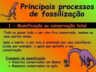 1 - Mumificação ou conservação total
Todo ou quase todo o ser vivo fica conservado, mesmo as
suas partes moles.
Após a morte, o ser vivo é envolvido por uma substância
(como por exemplo, o gelo) que permite a sua
conservação.
Exemplos de mumificação:
• Insectos conservados em âmbar.
• Mamutes conservados no gelo.
 