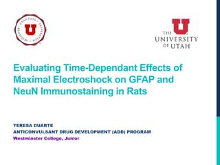 Evaluating Time-Dependant Effects of
Maximal Electroshock on GFAP and
NeuN Immunostaining in Rats
TERESA DUARTE
ANTICONVULSANT DRUG DEVELOPMENT (ADD) PROGRAM
Westminster College, Junior
 