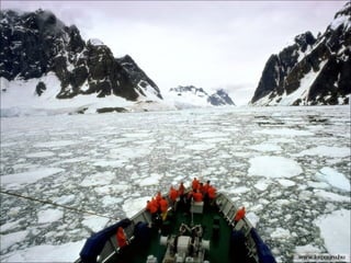 46226 antarctica-1-1