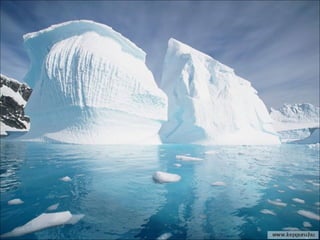 46226 antarctica-1-1