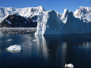 46226 antarctica-1-1