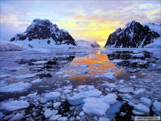 46226 antarctica-1-1