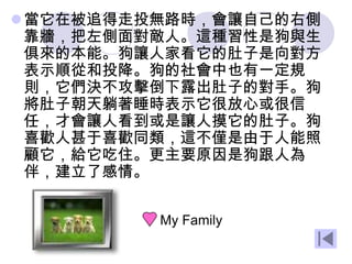 當它在被追得走投無路時，會讓自己的右側
靠牆，把左側面對敵人。這種習性是狗與生
俱來的本能。狗讓人家看它的肚子是向對方
表示順從和投降。狗的社會中也有一定規
則，它們決不攻擊倒下露出肚子的對手。狗
將肚子朝天躺著睡時表示它很放心或很信
任，才會讓人看到或是讓人摸它的肚子。狗
喜歡人甚于喜歡同類，這不僅是由于人能照
顧它，給它吃住。更主要原因是狗跟人為
伴，建立了感情。
My Family
 
