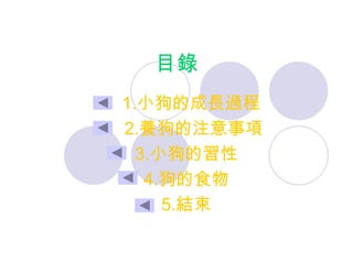 目錄
1.小狗的成長過程
2.養狗的注意事項
3.小狗的習性
4.狗的食物
5.結束
 