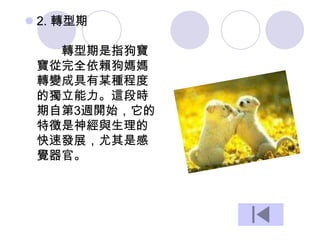  2. 轉型期
轉型期是指狗寶
寶從完全依賴狗媽媽
轉變成具有某種程度
的獨立能力。這段時
期自第3週開始，它的
特徵是神經與生理的
快速發展，尤其是感
覺器官。
 