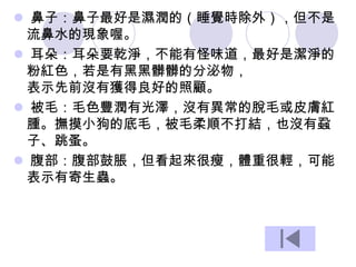  鼻子：鼻子最好是濕潤的（睡覺時除外），但不是
流鼻水的現象喔。
 耳朵：耳朵要乾淨，不能有怪味道，最好是潔淨的
粉紅色，若是有黑黑髒髒的分泌物，
表示先前沒有獲得良好的照顧。
 被毛：毛色豐潤有光澤，沒有異常的脫毛或皮膚紅
腫。撫摸小狗的底毛，被毛柔順不打結，也沒有蝨
子、跳蚤。
 腹部：腹部鼓脹，但看起來很瘦，體重很輕，可能
表示有寄生蟲。
 