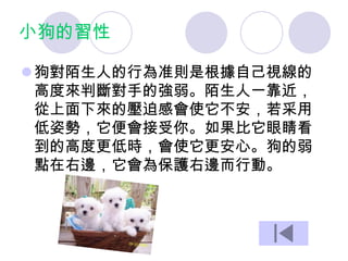 小狗的習性
狗對陌生人的行為准則是根據自己視線的
高度來判斷對手的強弱。陌生人一靠近，
從上面下來的壓迫感會使它不安，若采用
低姿勢，它便會接受你。如果比它眼睛看
到的高度更低時，會使它更安心。狗的弱
點在右邊，它會為保護右邊而行動。
 