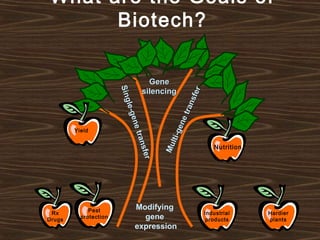 What are the Goals of
Biotech?
Single-genetransfer
Single-genetransfer
GeneGene
silencingsilencing
Multi-genetransfer
Multi-genetransfer
Modifying
gene
expression
Yield
Nutrition
Pest
protection
Rx
Drugs
Hardier
plants
Industrial
products
 