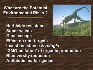 What are the PotentialWhat are the Potential
Environmental Risks ?Environmental Risks ?
Herbicide resistanceHerbicide resistance
Super weedsSuper weeds
Gene escapeGene escape
Effect on non-targetsEffect on non-targets
Insect resistance &Insect resistance & refugiarefugia
‘‘GMO pollution’ of organic productionGMO pollution’ of organic production
Biodiversity reductionBiodiversity reduction
Antibiotic marker genesAntibiotic marker genes
 
