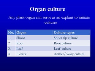 Organ culture
Any plant organ can serve as an explant to initiate
cultures
No. Organ Culture types
1. Shoot Shoot tip culture
2. Root Root culture
3. Leaf Leaf culture
4. Flower Anther/ovary culture
 