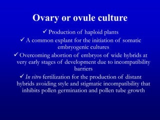 Ovary or ovule culture
 Production of haploid plants
 A common explant for the initiation of somatic
embryogenic cultures
 Overcoming abortion of embryos of wide hybrids at
very early stages of development due to incompatibility
barriers
 In vitro fertilization for the production of distant
hybrids avoiding style and stigmatic incompatibility that
inhibits pollen germination and pollen tube growth
 