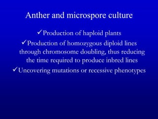 Anther and microspore culture
Production of haploid plants
Production of homozygous diploid lines
through chromosome doubling, thus reducing
the time required to produce inbred lines
Uncovering mutations or recessive phenotypes
 