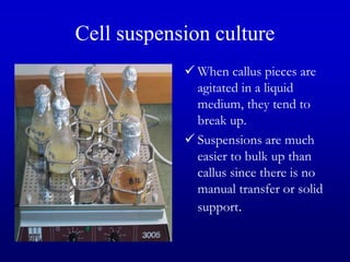 Cell suspension culture
 When callus pieces are
agitated in a liquid
medium, they tend to
break up.
 Suspensions are much
easier to bulk up than
callus since there is no
manual transfer or solid
support.
 