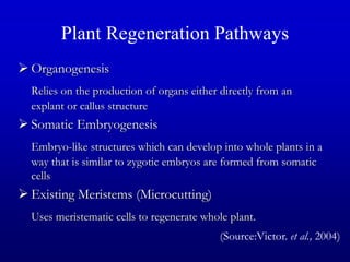 Plant Regeneration Pathways
 Organogenesis
Relies on the production of organs either directly from an
explant or callus structure
 Somatic Embryogenesis
Embryo-like structures which can develop into whole plants in a
way that is similar to zygotic embryos are formed from somatic
cells
 Existing Meristems (Microcutting)
Uses meristematic cells to regenerate whole plant.
(Source:Victor. et al., 2004)
 