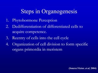 Steps in Organogenesis
1. Phytohormone Perception
2. Dedifferentiation of differentiated cells to
acquire competence.
3. Reentry of cells into the cell cycle
4. Organization of cell division to form specific
organs primordia in meristem
(Source:Victor. et al, 2004)
 