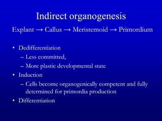 Indirect organogenesis
Explant → Callus → Meristemoid → Primordium
• Dedifferentiation
– Less committed,
– More plastic developmental state
• Induction
– Cells become organogenically competent and fully
determined for primordia production
• Differentiation
 
