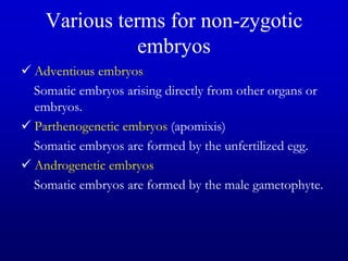 Various terms for non-zygotic
embryos
 Adventious embryos
Somatic embryos arising directly from other organs or
embryos.
 Parthenogenetic embryos (apomixis)
Somatic embryos are formed by the unfertilized egg.
 Androgenetic embryos
Somatic embryos are formed by the male gametophyte.
 